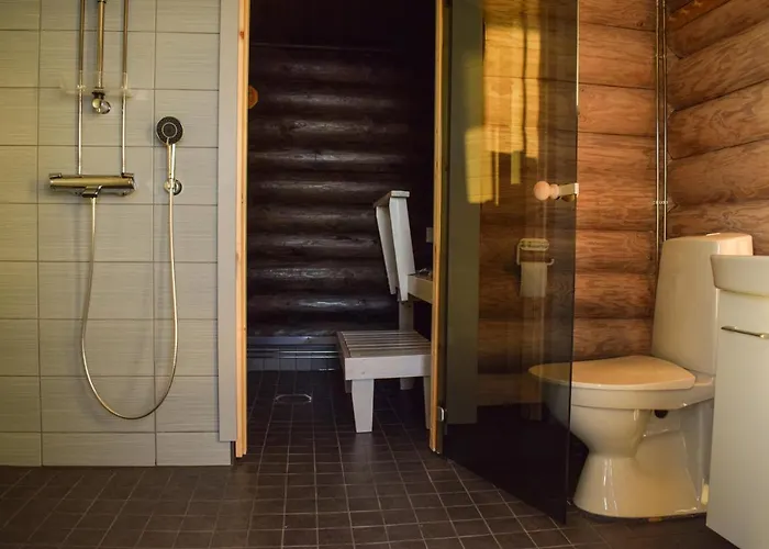 Loma-autio Apaja Puumala