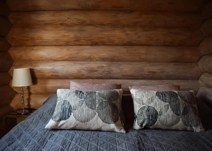 Chalet Loma-autio Apaja Puumala