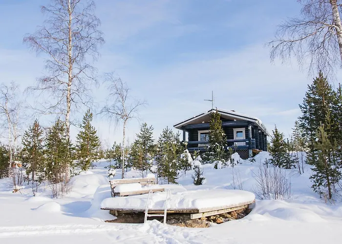 Loma-autio Apaja * Puumala